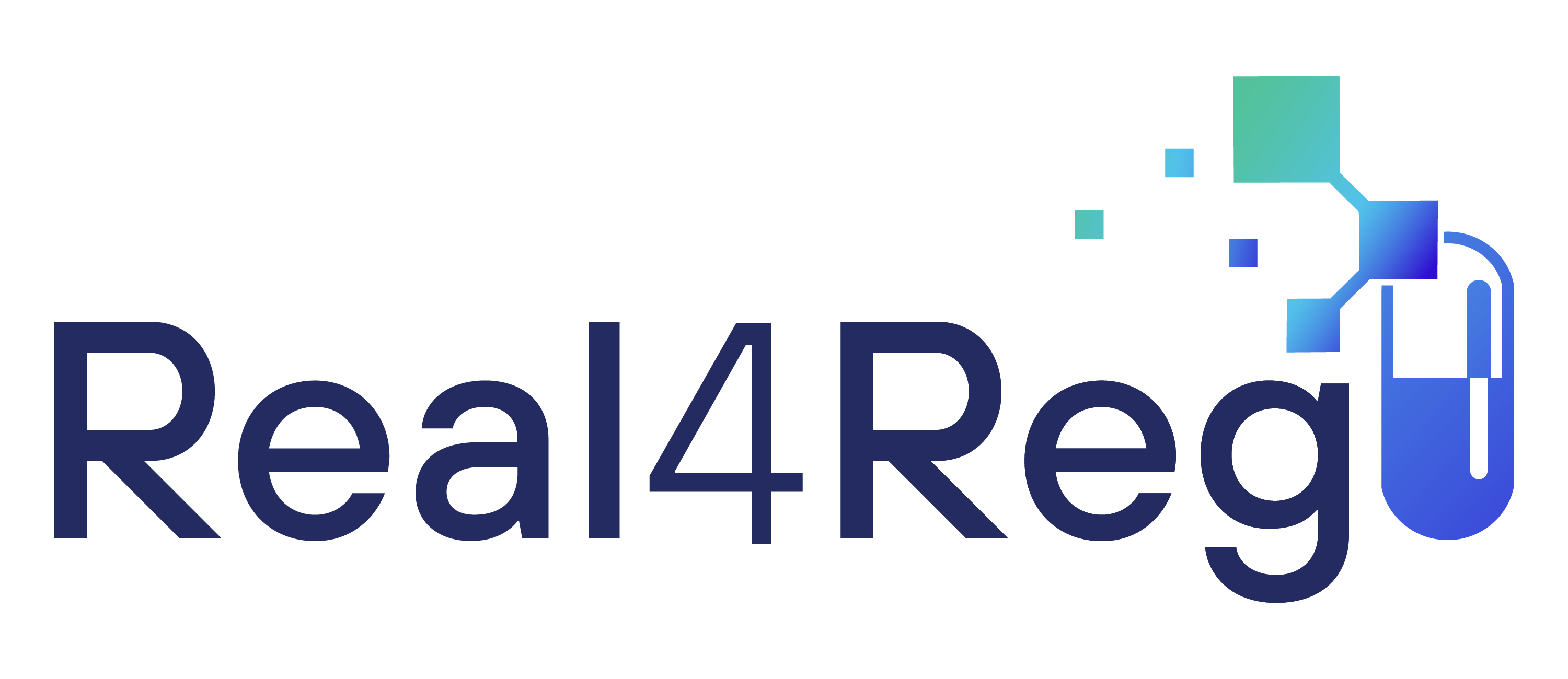 Real4Reg